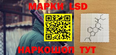 гашик Владимир