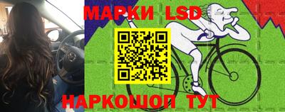 гашик Владимир