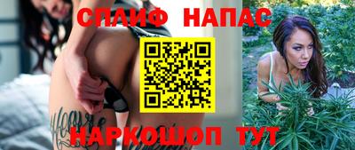 СК Владивосток