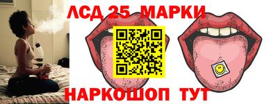 СК Владивосток