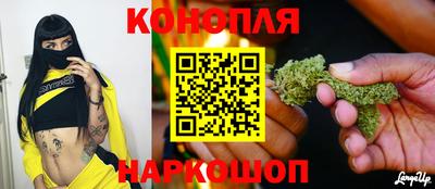 СК Владивосток