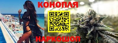 гашик Владимир