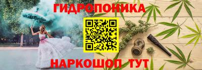 гашик Владимир