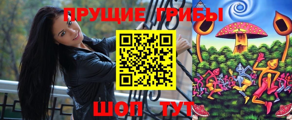 Заволжье  Псилоцибиновые грибы Psilocybe  Вход с VPN 